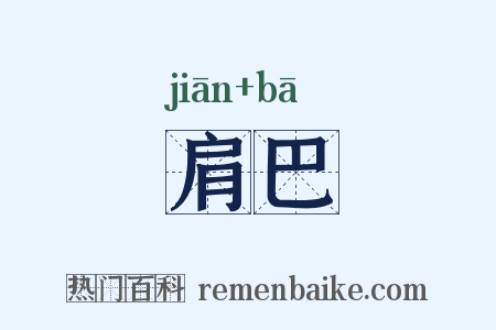 肩巴是什么意思的图片